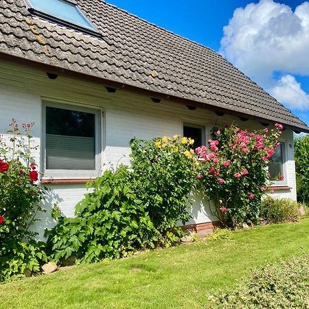 Ferienhaus Sutje Loose Εξωτερικό φωτογραφία