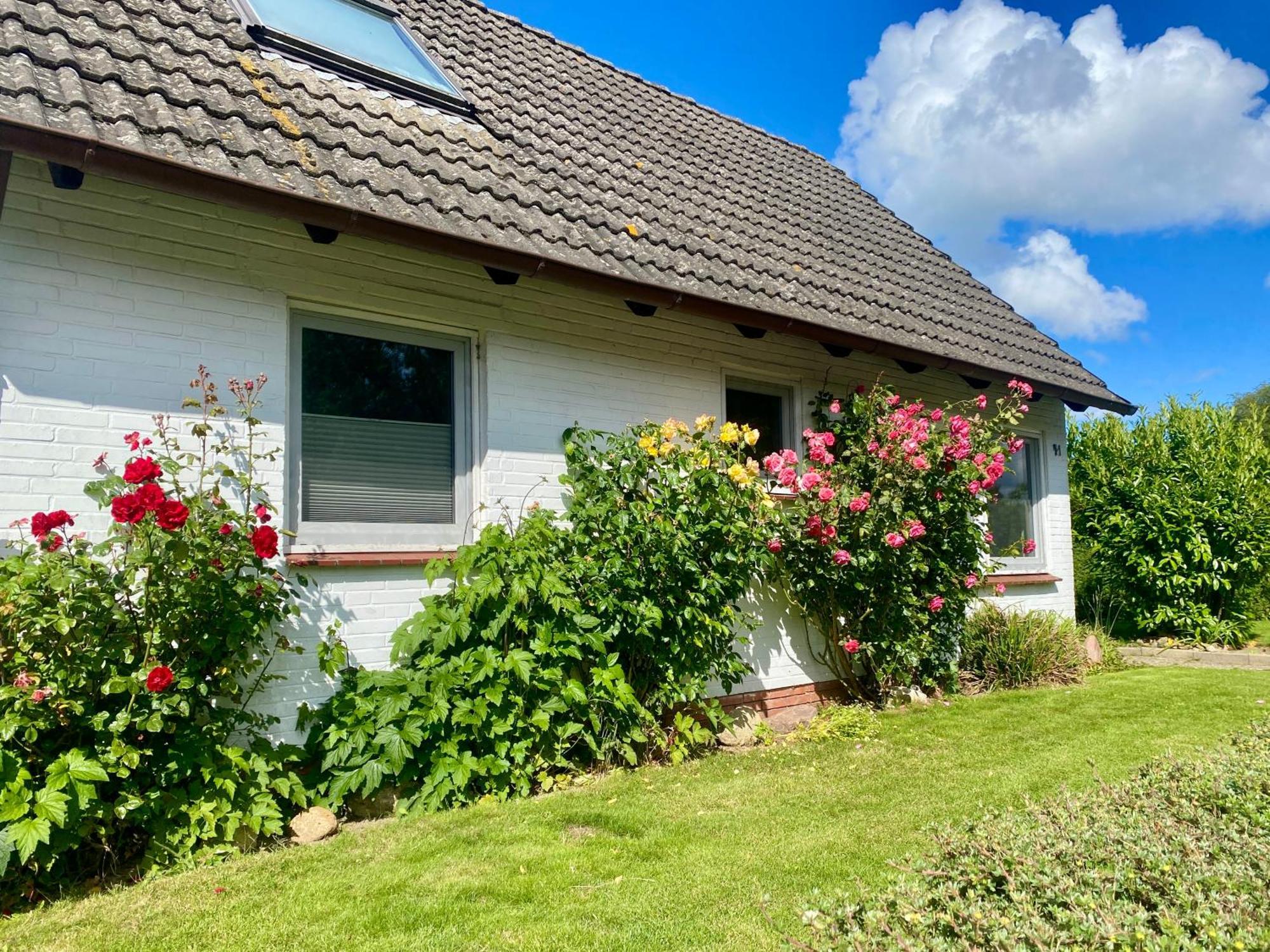 Ferienhaus Sutje Loose Εξωτερικό φωτογραφία